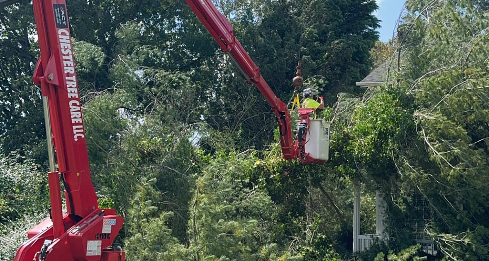 Call to action for certified tree removal services in Maiden, NC, highlighting safety and expertise.