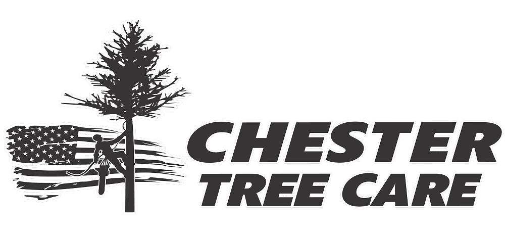Chester Tree Care