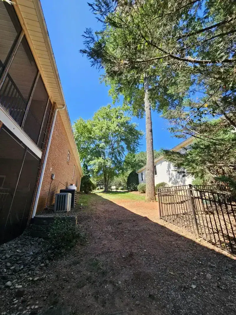Before and after land clearing scene showcasing improved property access.