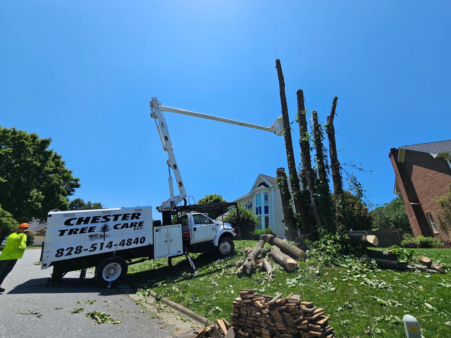What Homeowners Around Hickory Think About Before Tree Removal