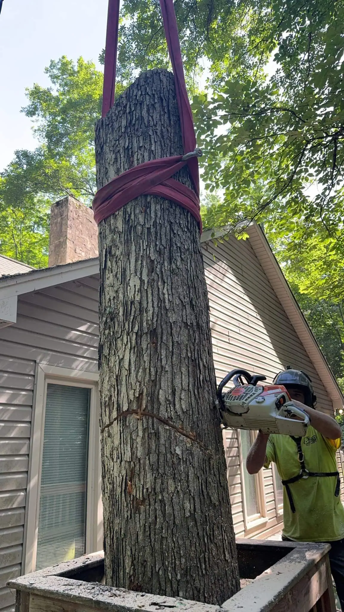 Tree Removal in Hudson, NC