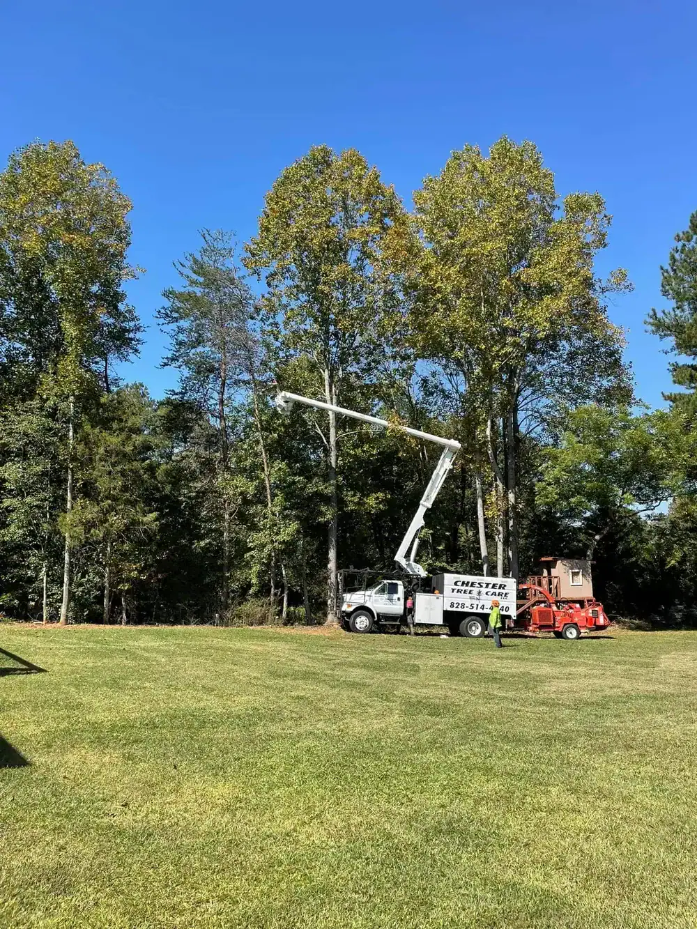 Tree removal in tight space in Hickory NC with safe rigging