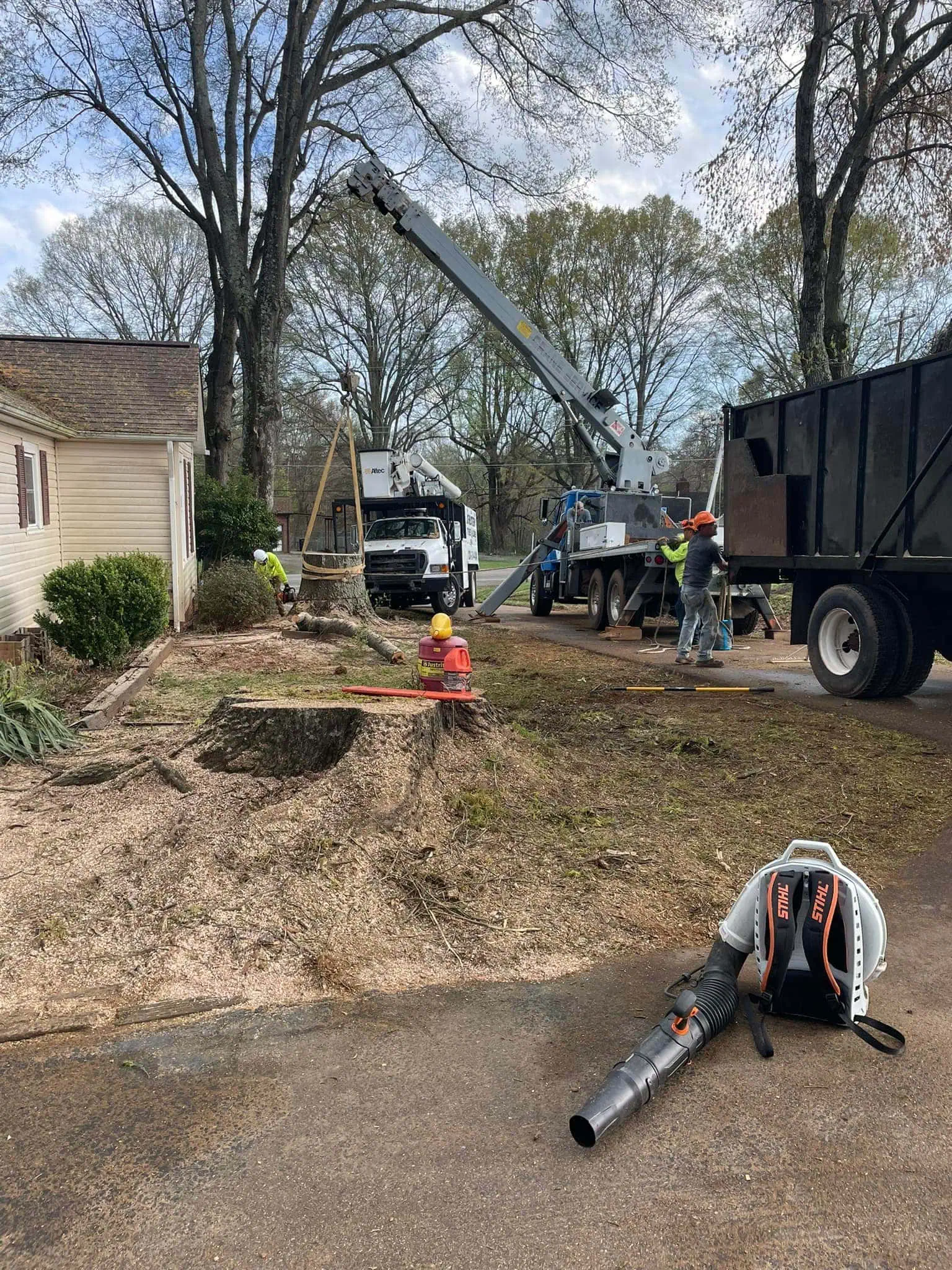 Careful tree removal in Hickory NC with full cleanup and protected property