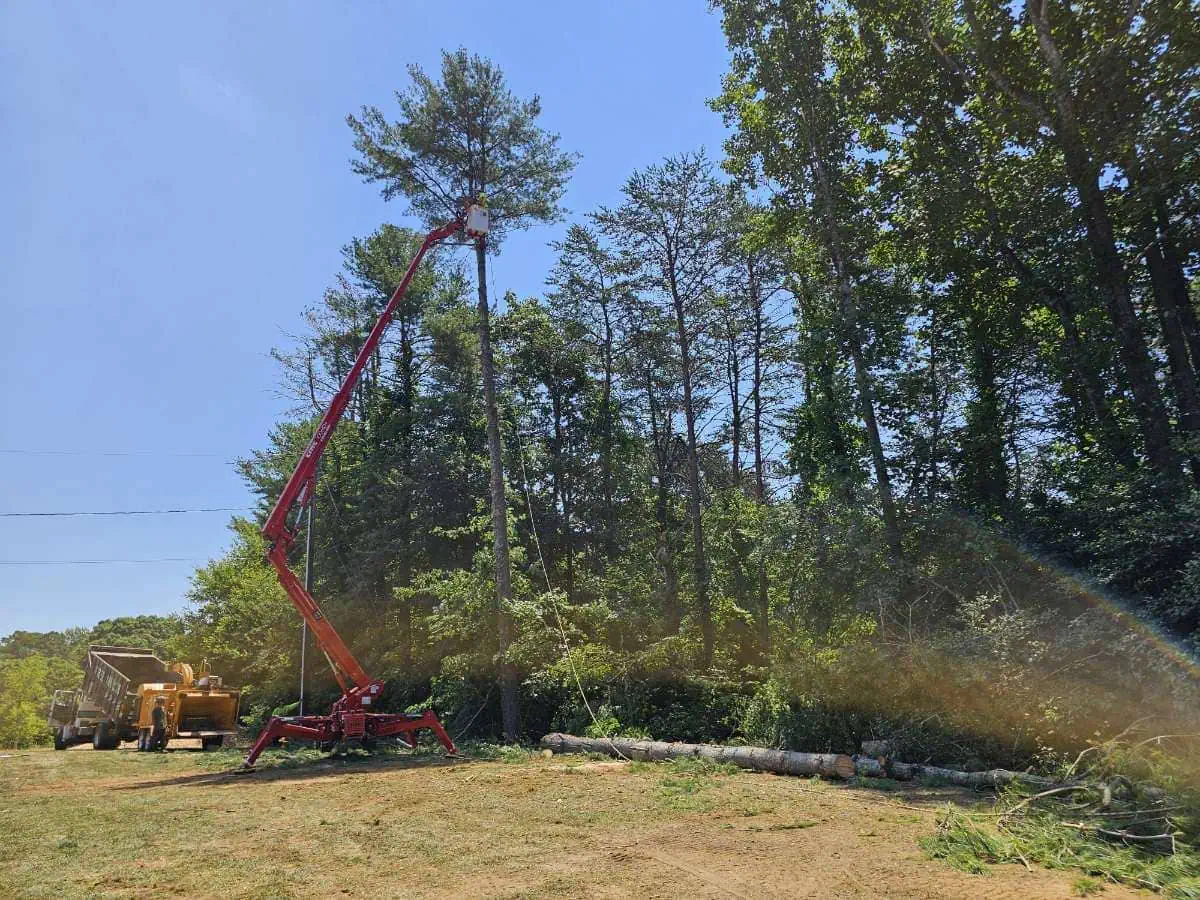 Emergency tree removal in Hickory NC with fast response and cleanup