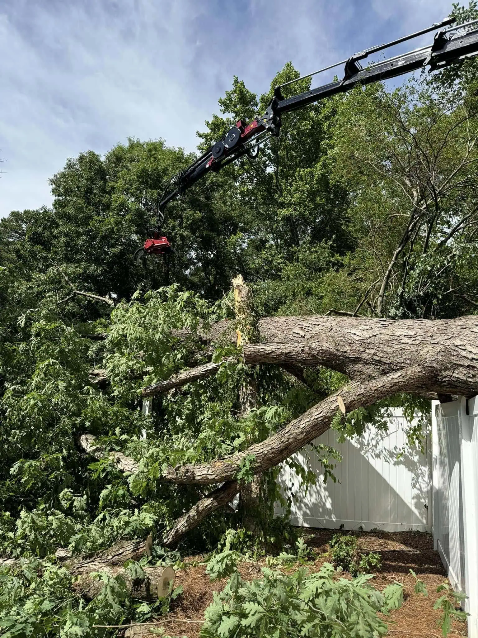 Tree Removal in Drexel, NC | Chester Tree Care